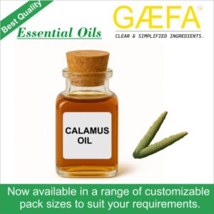 Calamus Oil