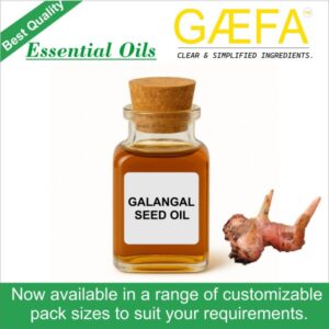 Galangal Oil