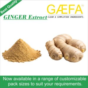 Ginger Extract