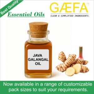 Java Galangal Oil